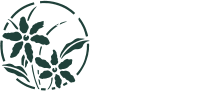 BANKYWOOD