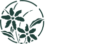 BANKYWOOD