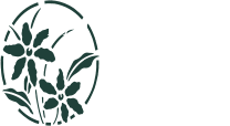 BANKYWOOD