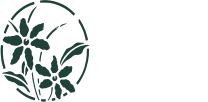 BANKYWOOD