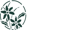 BANKYWOOD